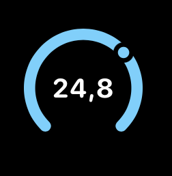 Circular Apple Watch complication layout